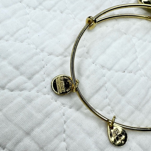 Alex and Ani April Birthstone Charm Bangle - Clear Crystal - Picture 7 of 10